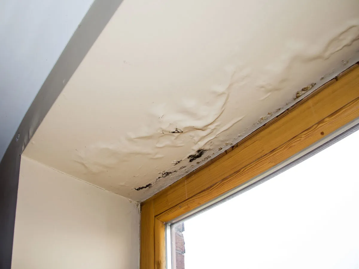 UV & Heat Damaged Roof Repair | Houston, TX
